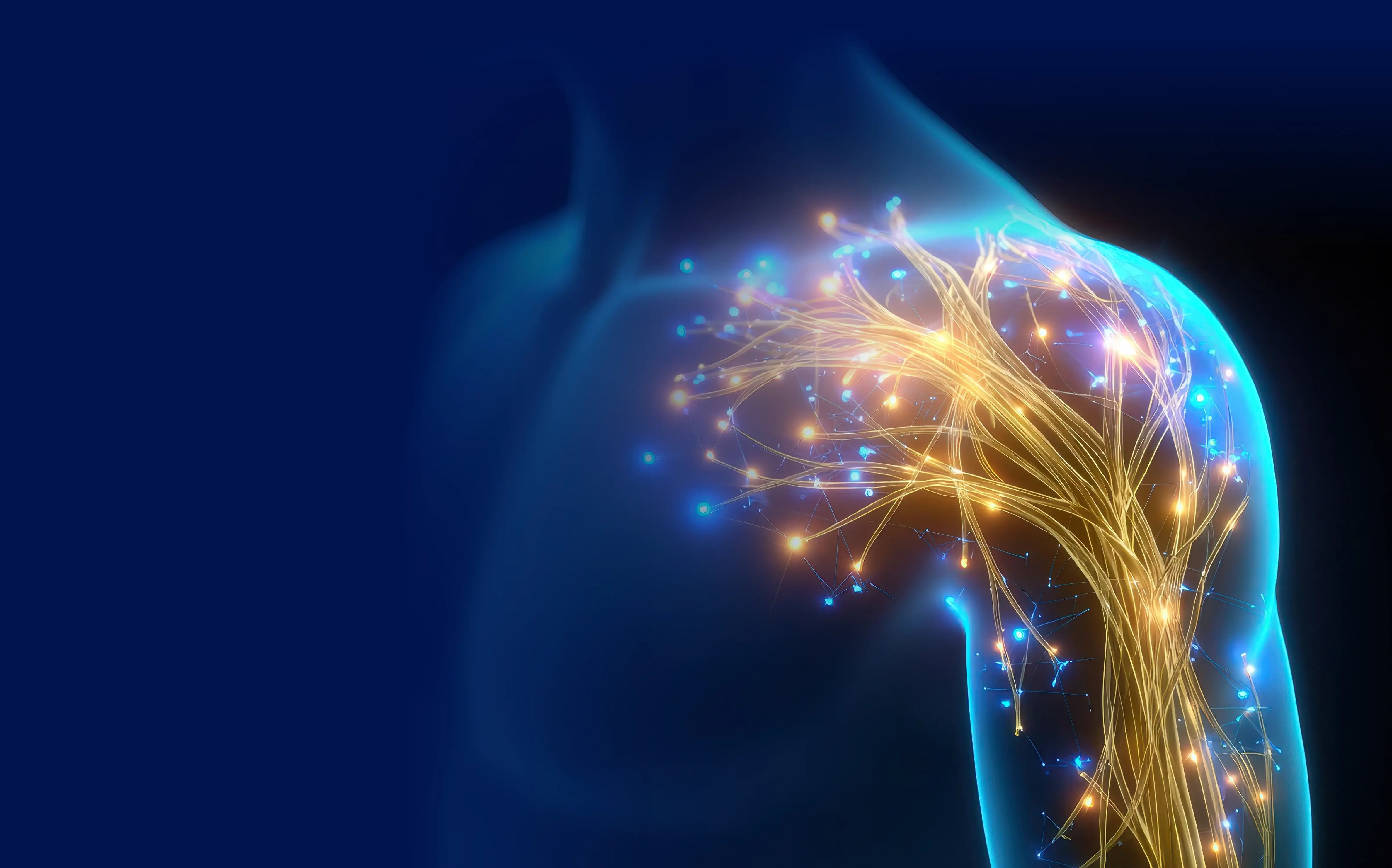 IFAR - Brachial Plexus Injuries - Banner  copy